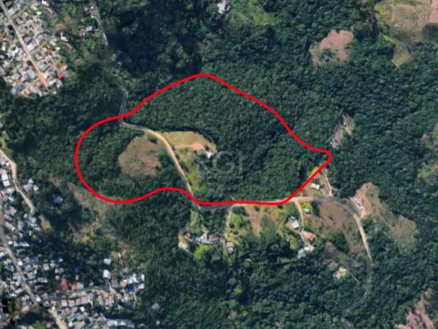 Ótima oportunidade de investimento! Terreno com área total de 59.925m² e topografia irregular, localizado na Rua dos Canudos, Cascata - Porto Alegre. Aproveite essa chance de adquirir um terreno em um