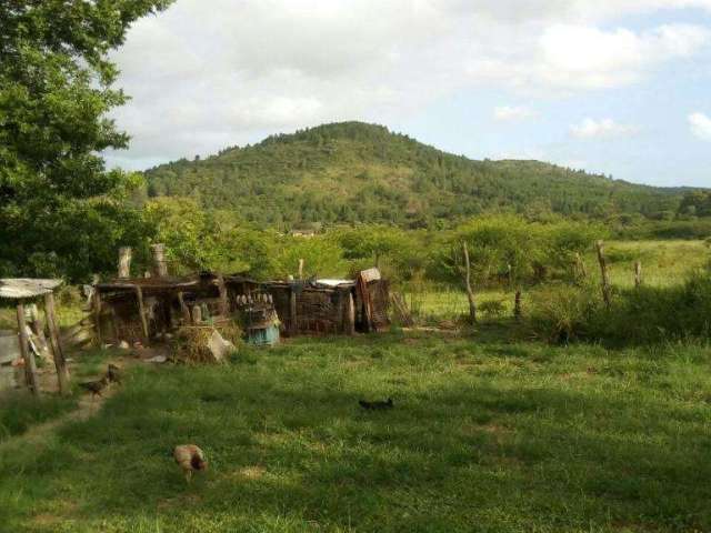 Área Rural à venda em Itapuã em Viamão. &lt;BR&gt;&lt;BR&gt;Com 26.1 hectares, com vista pra lagoa dos patos, com vertente, açude e figueiras.