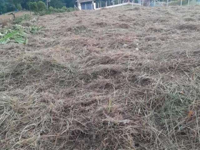 Terreno para Venda em Pinhalzinho, Zona Rural