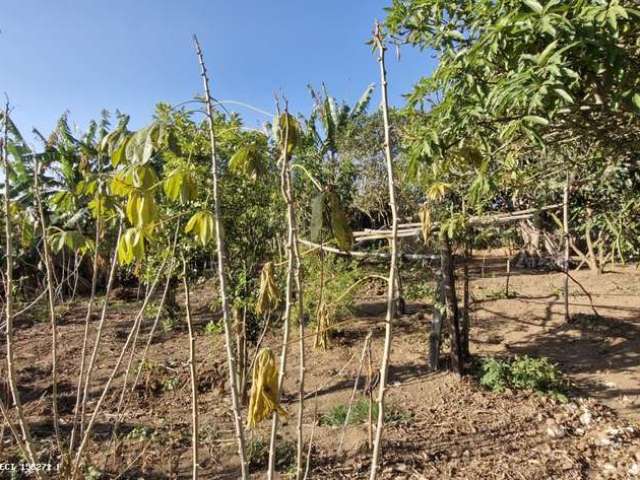 Terreno para Venda em Pinhalzinho, Zona Rural