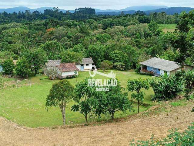 Chácara com 2 alqueires de área para plantio à venda, 96800 m² por R$ 1.650.000 - Lagoinha - Tijucas do Sul/PR