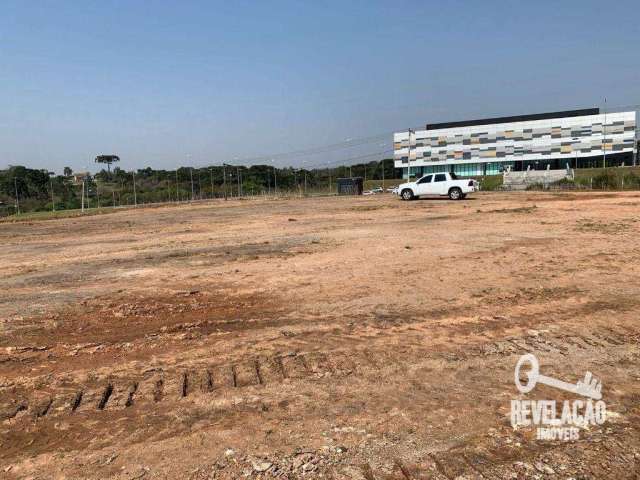 Área à venda, 33959 m² por R$ 3.500.000,00 - Campo Largo da Roseira - São José dos Pinhais/PR