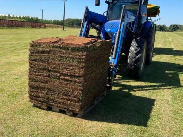 Comercial para Venda em Lucas do Rio Verde, Área Rural de Lucas do Rio Verde