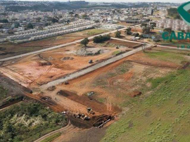 Excelente oportunidade de loteamento em Araucária - MATSU