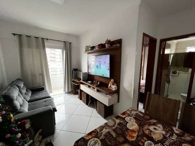 Lindo apartamento 1 dormitório à venda no bairro Mirim, Praia Grande - SP