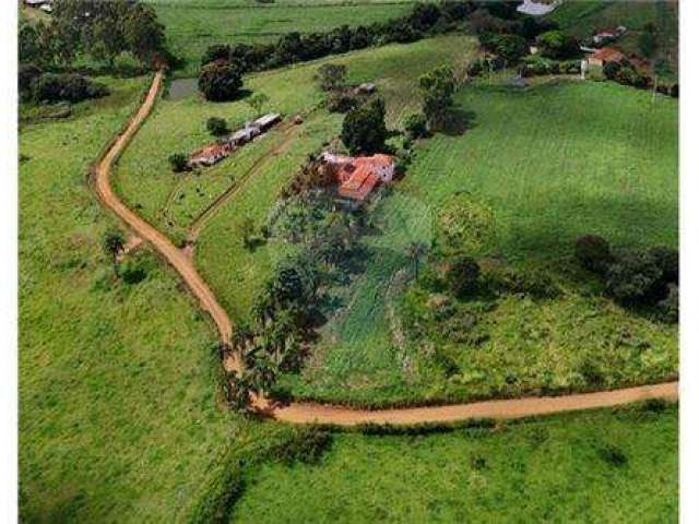 Área 6 hectares em santo antonio da alegria- sp