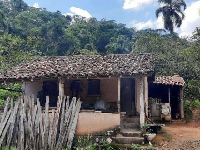 Vendo Área Rural em Passa Três Tamanho da área 14,6 hectares