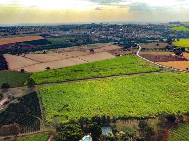 Jardim do Ipê