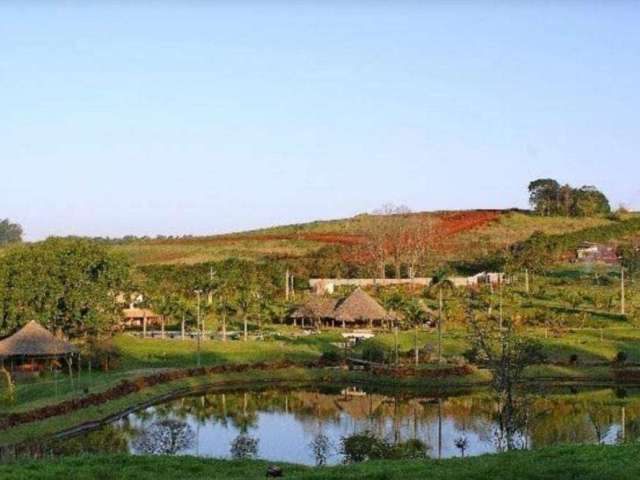 Terreno à venda, 1376 m² por R$ 950.000,00 - Zona Rural - Londrina/PR