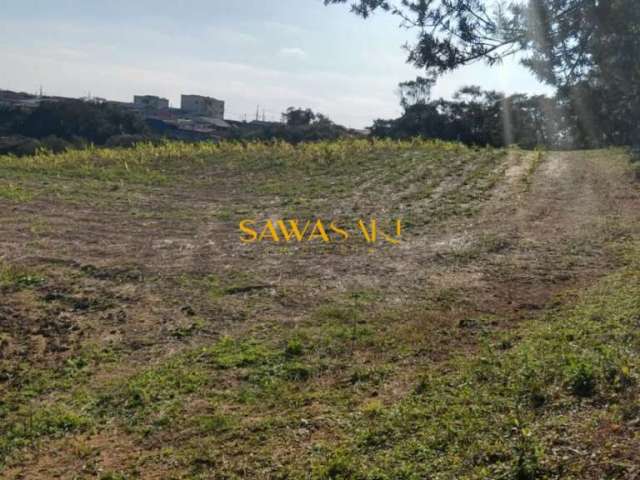 Terreno para Venda em Campina da Barra Araucária-PR