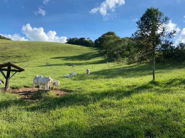 Vendo essa  linda fazenda  na cidade de coronel pacheco, mg.