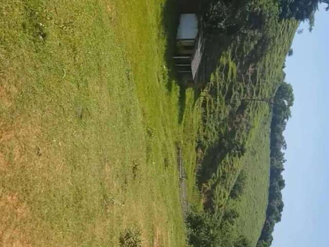 Vendo fazendinha de porteira fechada com 15 bois dentro em Adrianópolis nova Iguaçu RJ.