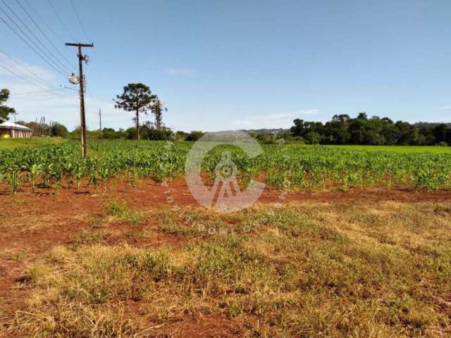 Chácara à venda, 8000 m² por R$ 550.000,00 - Zona Rural - São Miguel do Iguaçu/PR