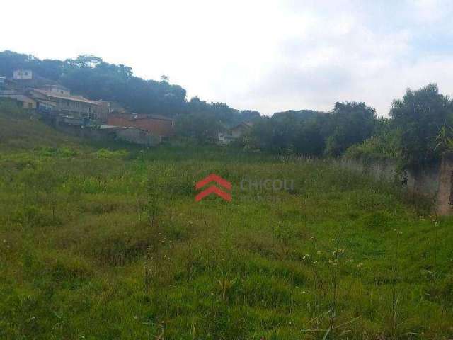 Terreno à venda, 4814 m²  - Jardim Bela Vista - Vargem Grande Paulista/SP