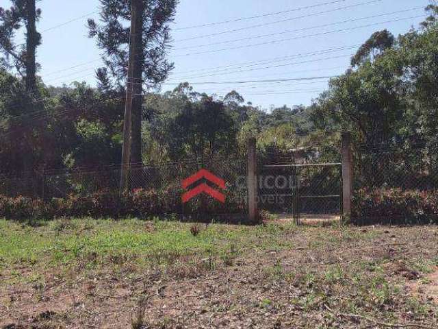 Terreno com 1000 m² - Pavão (Canguera) - São Roque/SP