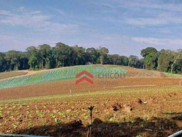 Terreno à venda 81.335 m² - Jardim São Marcos - Itapevi/SP