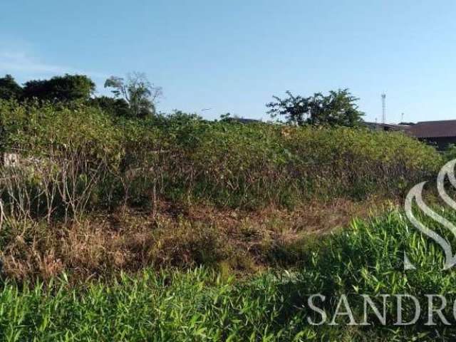 Terreno para Venda em Balneário Barra do Sul, Costeira