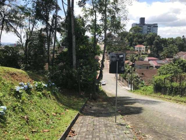 TERRENO no FLORESTA com 0 quartos para VENDA, 371 m²