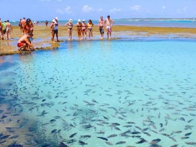 Max Plural Trás Seu Mais Breve Lançamento Praia de Porto de Galinhas! Com Alta Rentabilidade Faça Seu Cadastro