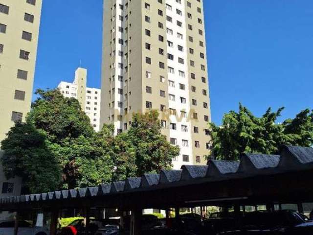 Apartamento - Brás - São Paulo SP