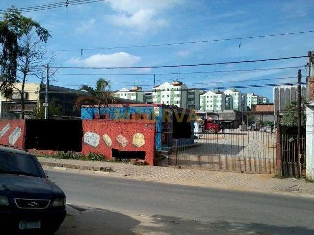 Lote / Terreno - Guaianazes  -  São Paulo,SP