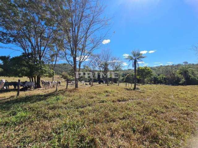 Fazenda à venda em Caldas Novas e Pires do Rio, Boa pecuária