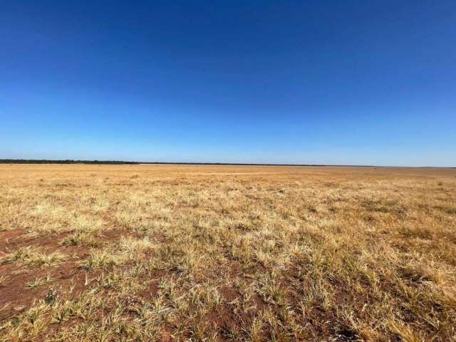 Fazenda em lavoura à Venda  em Jussara / GO.