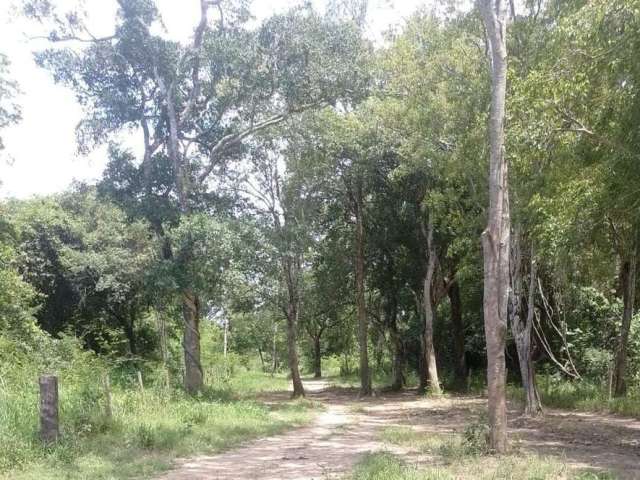 Fazenda à Venda no Município de  Aruanã / GO.