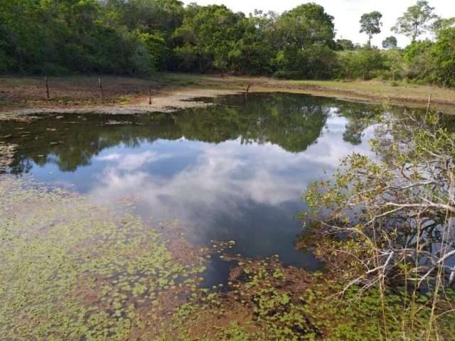 Fazenda à Venda 319 hectares em Nossa Senhora do Livramento - MT .