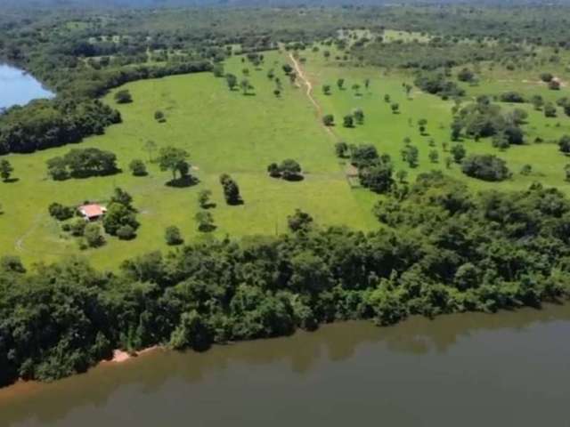 Fazenda à Venda banhado pelo Rio Manso, 150 hectares em Rosário Oeste - MT.