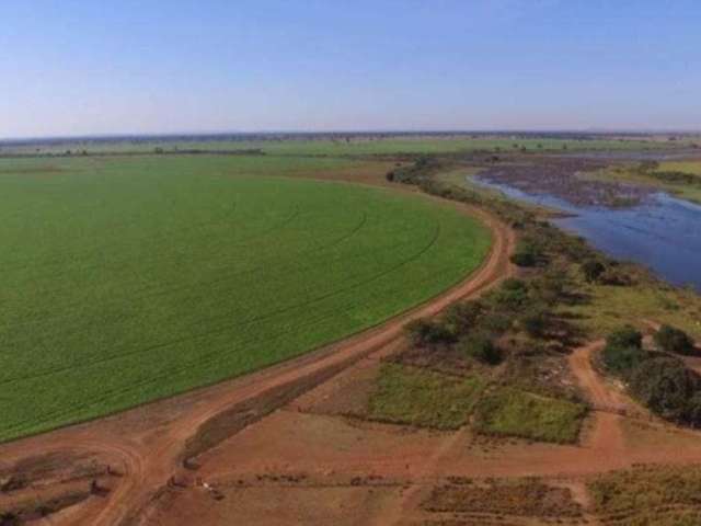 Fazenda dupla aptidão, 5.388 hectares em Barra do Garças-MT.