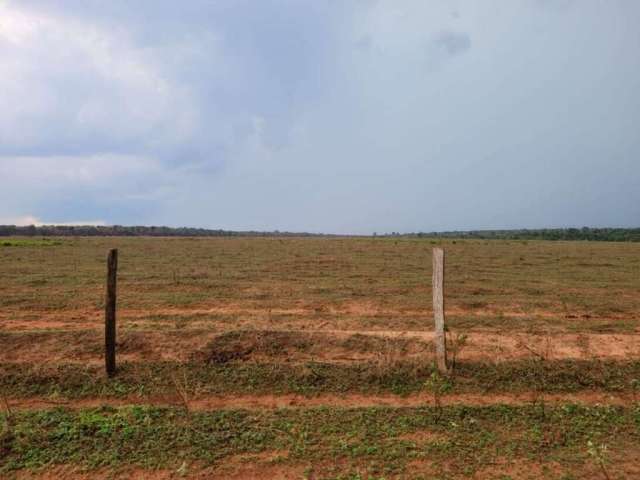 Fazenda à Venda 9.300 hectares em São José do Xingu-MT.