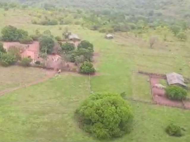 Fazenda à Venda, 1.408 hectares em Poxoréo- MT.