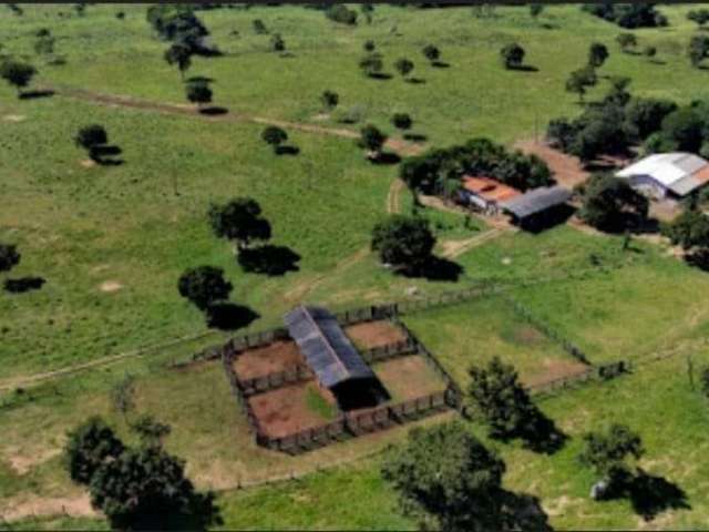 Excelente Fazenda à Venda, 411 hectares em Nobres- MT.