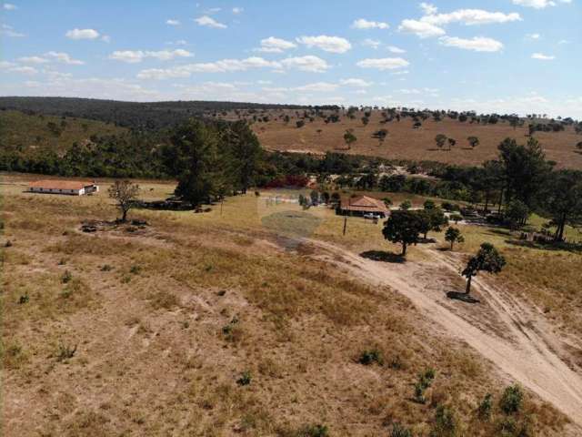 Fazenda para gado em Goiás - 1.657 Hectares.