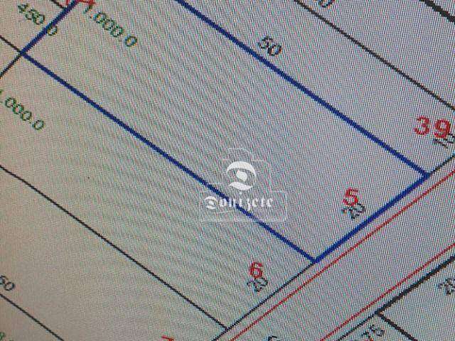 Terreno à venda, 1000 m² por R$ 2.800.000,01 - Vila Homero Thon - Santo André/SP