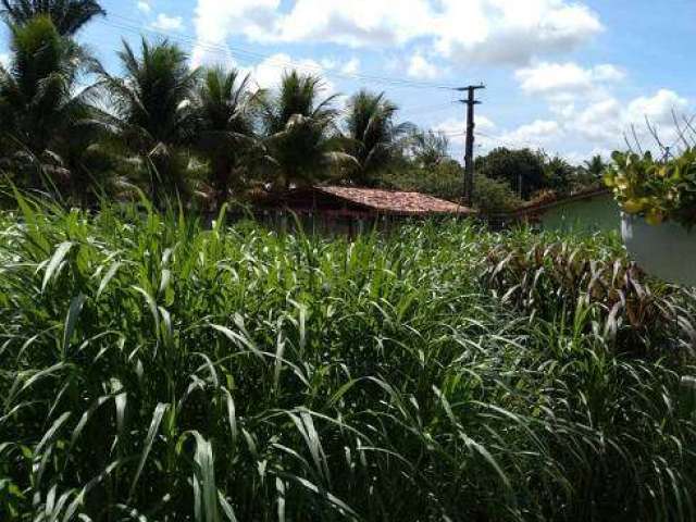 Granja para venda mobiliada possui 400 metros quadrados com 3 quartos em Centro - Conde - PB