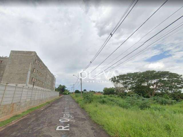 Terreno à venda, 990 m² por R$ 500.000,00 - Estância dos Manacáz (Zona Rural) - São José do Rio Preto/SP