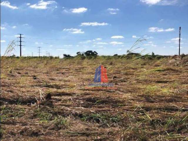 Terreno à venda, 10000 m² por R$ 1.500.000,00 - Cruzeiro do Sul - Santa Bárbara D'Oeste/SP