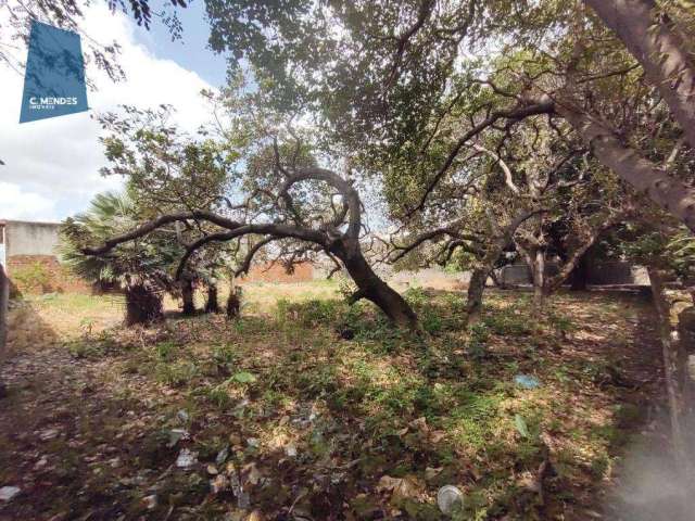 Terreno à venda, 1600 m² por R$ 2.500.000,00 - Lagoa Sapiranga (Coité) - Fortaleza/CE