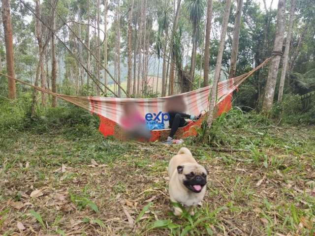 Chácara / sítio com 1 quarto à venda na Estrada da Conceicao da Meia Lua, 150, Conceição da Meia Lua, Campo Magro por R$ 360.000