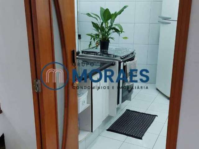 Apartamento cobertura a venda, Santa Maria, SCSul - SP