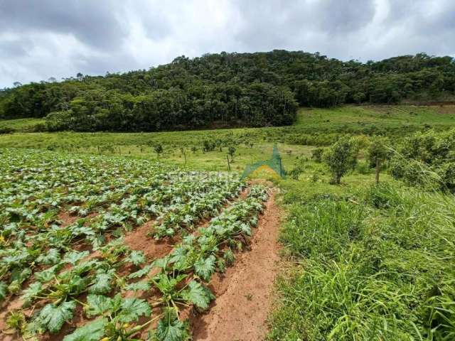 Sítio com 35.000 m2 com Riacho - Ponte Nova, Teresópolis