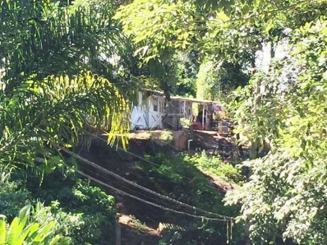 Terreno à venda, Vila Irmãos Arnoni, 980 metros quadrados, em aclive, 20 metros de frente.