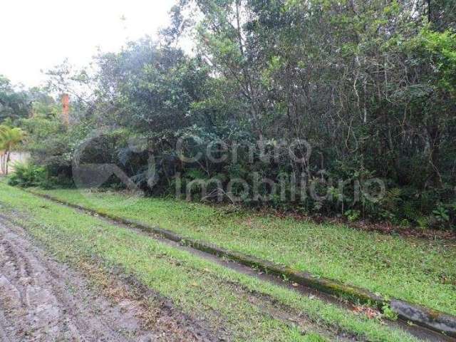 TERRENO à venda em Peruíbe, no bairro Jardim Sao Luiz