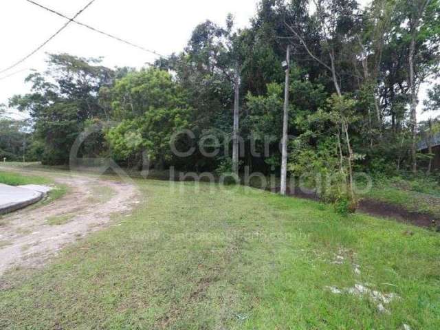 TERRENO à venda em Peruíbe, no bairro Jardim Sao Luiz