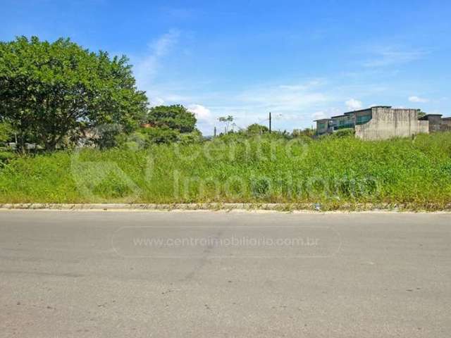 TERRENO à venda em Peruíbe, no bairro Jardim Somar