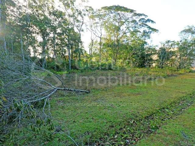 TERRENO à venda em Peruíbe, no bairro Jardim Sao Luiz