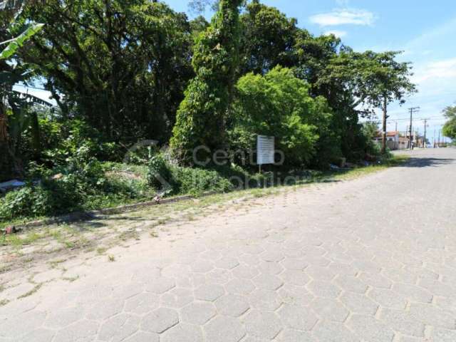 TERRENO à venda em Peruíbe, no bairro Jardim Ribamar