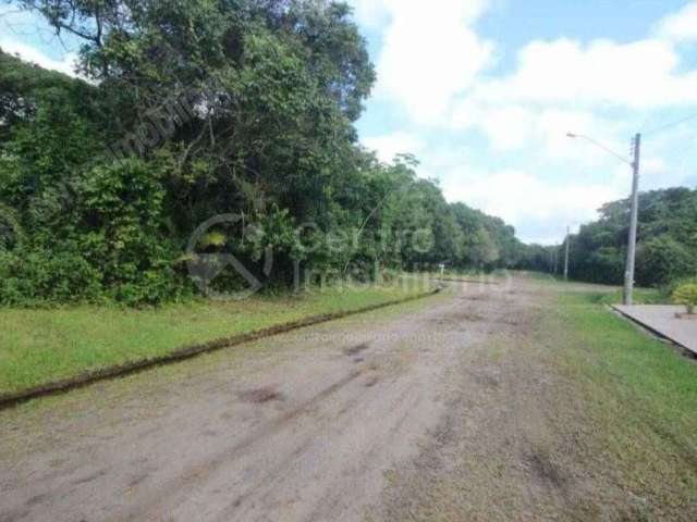 TERRENO à venda em Peruíbe, no bairro Jardim Sao Luiz